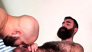 BEARFILMS Hairy Rob Hairy Barebacked By Bear Ubago Noxon