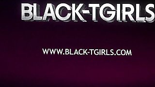Black TGirls - braids xxx