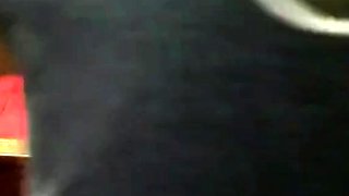 Papa Ours Amateur
