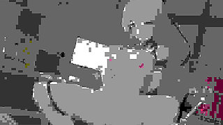 Bronya Zaychik X Captain