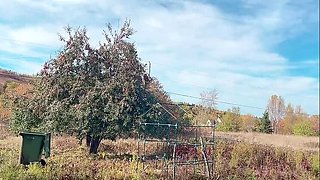 SweetHana Japanese Teen Drained in Garden Under Apple Tree - Happy 18 Year Old Schoolgirl Water Fun
