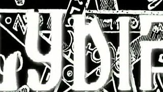 Trailer 341