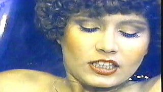 Swedish Erotica 23,  or  Thank God Nobody Pays Attention To The Dialogue, Vol. 2 : Porn