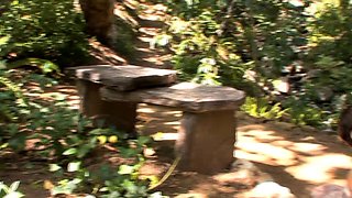 Big Tit Brunette Big Cock Anal Cumshot