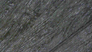 The Pussy Lover (part 18)