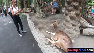 Amateurs Asian Euro couple travels the world and has sex