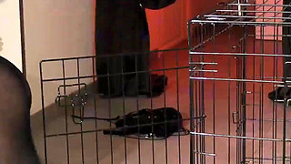 Ep 2: Brain Reinitialisation Guide: Repeat the Phrases While I Stroke You - Mistress Julia