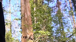 Wow, blew a stranger in the woods! XXX porn at its