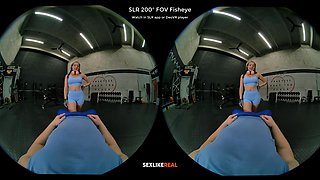 The Final Stretch - SLROriginals