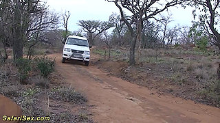 African outdoor safari fuck orgy