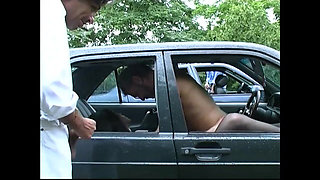 The Bitch in the Usual Place