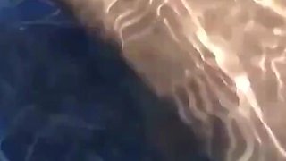 Nake Swimming and Fucking in the Pool
