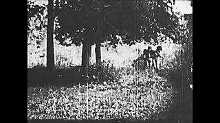El Satario - Restored 4K Vintage Erotica
