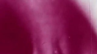 Vintage porn retro erotic theatre - Robins nest