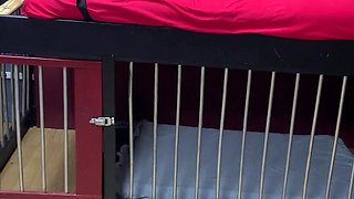 I Open the Doors of This Dungeon to You