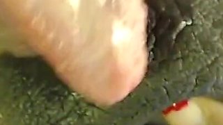 BBW Desi Live