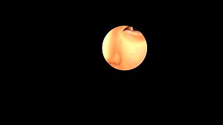 Japanese Teen Cumshot Facial