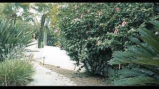 Strange desire in a summer time