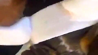 BBC Facefucks BBW Finishes with Creampie in Ass and Pussy