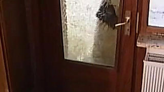 Wonderful Horny Teen Ass Fucked and Cummed in Mouth in Kitchen