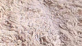 Mature Granny with Hairy Pussy Enjoying Anal and Vaginal Masturbation with a Dildo.