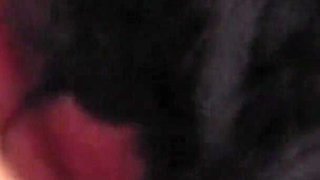College Girl Fucking in the Bathroom