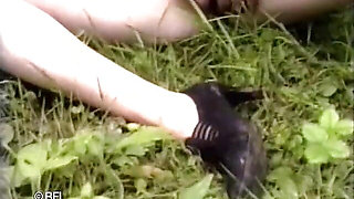 Blowjob in the park.