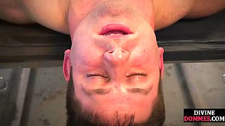 Dominatrix inserts objects on incels ass