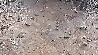 My Step Daughter Before Being Seduced