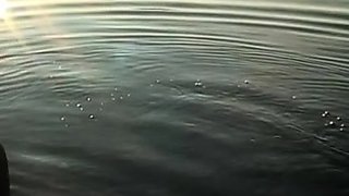 German amateur couple fucking outdoors
