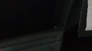Blowjob in the Car!