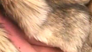 Masturbates in a Fur Coat