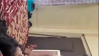 Ultra-kinky Indian Wifey Blow-job and Pummeling