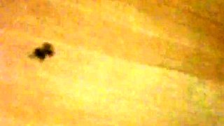 Korean Amateur Sucks Cock in Bathroom Gloryhole