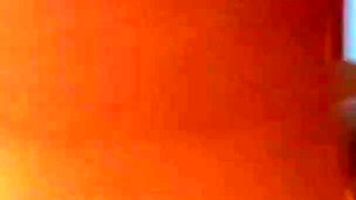Pornstars sucking hard dick