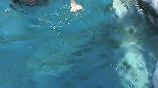 Amateur real small titted party teen slammed in gym class