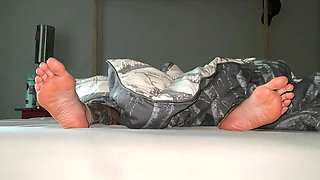 Sit Stay Stare Good Boy