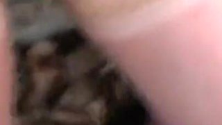 Hot seductive brunette loves to cum hot spunk by sucking cock