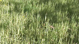 Outdoor Raid Anal and Fucking Movie