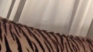 Sarai And Sofia Rivera Are Strapped Up Lesbians