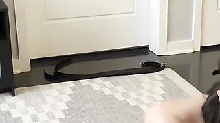 Naughty Christmas Present: Restrained Slut Sucks Dick and Takes Massive Facial