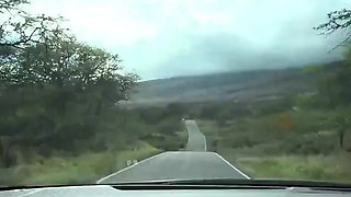 TEEN ASIAN SKANK MILKS DICK IN CAR