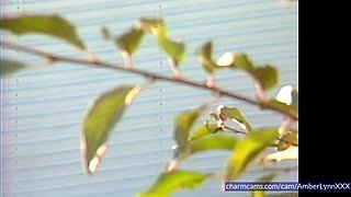 AmberLynns Chatroom Connect Now