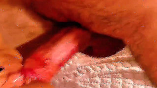 MILF Sucks and Fucks Her Stud Electrician