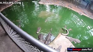 Crocodiles Munching And Thai Gf Cumming With Cherry Lee