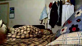I puted the cam in the bedroom and take a video of sleeping blondie