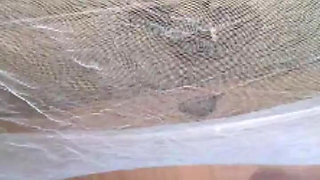 Early Morning Jerk off to a Video Fuck with Online Slut