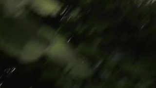 Uncut:mix Stella Star