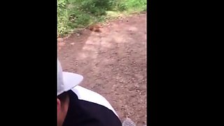 Fat Cock Sucking in the Woods by Horny Amateur