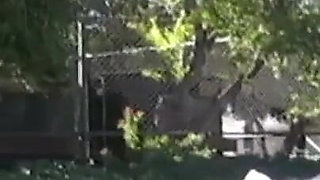 Big ass brunette gets a warm load in her cute mouth